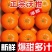【一件代发】广西武鸣沃柑/电商代发/社区团购/各大商超