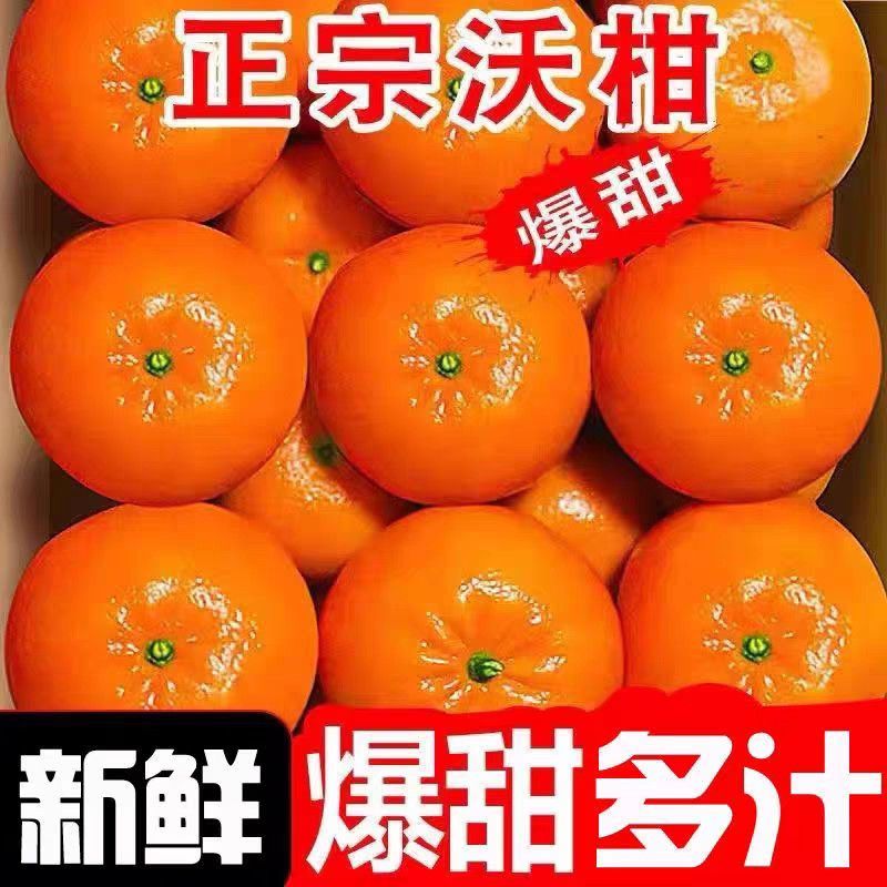 【一件代发】广西武鸣沃柑/电商代发/社区团购/各大商超