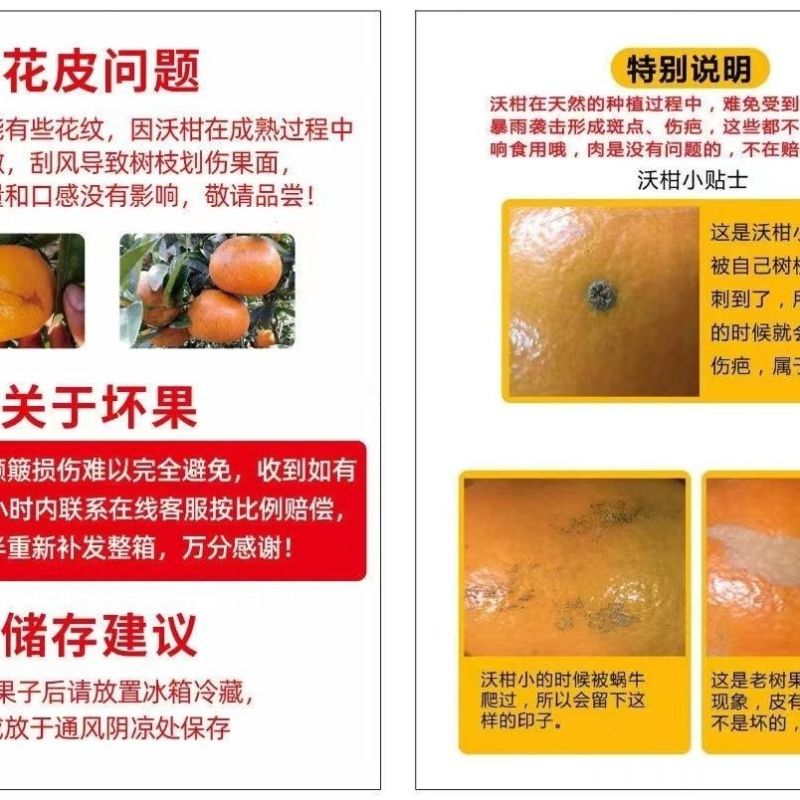 【一件代发】广西武鸣沃柑/电商代发/社区团购/各大商超