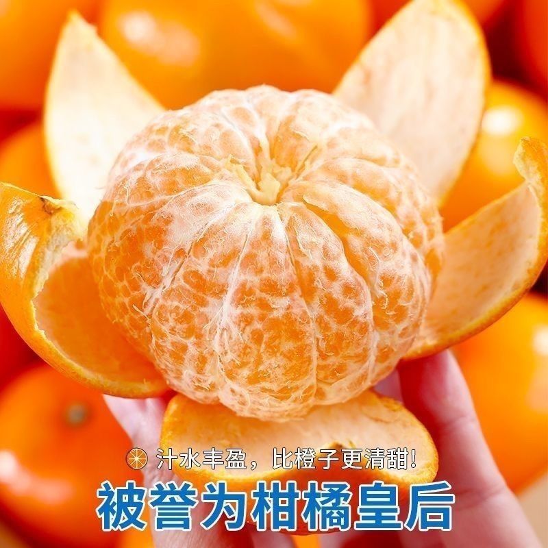 【一件代发】广西武鸣沃柑/电商代发/社区团购/各大商超