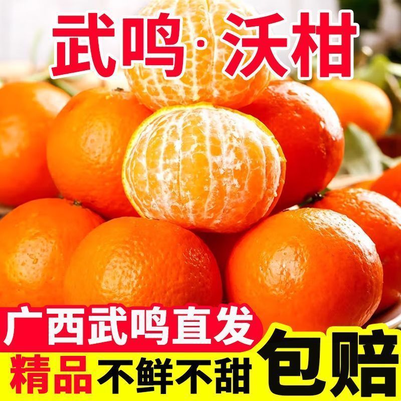 【一件代发】广西武鸣沃柑/电商代发/社区团购/各大商超