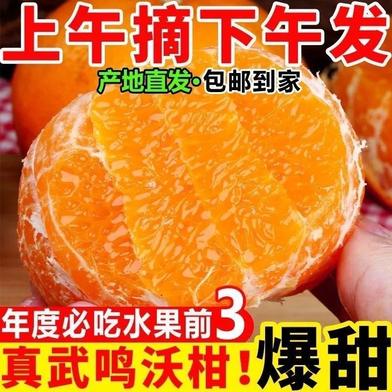 【一件代发】广西武鸣沃柑/电商代发/社区团购/各大商超