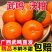 【一件代发】广西武鸣沃柑/电商代发/社区团购/各大商超