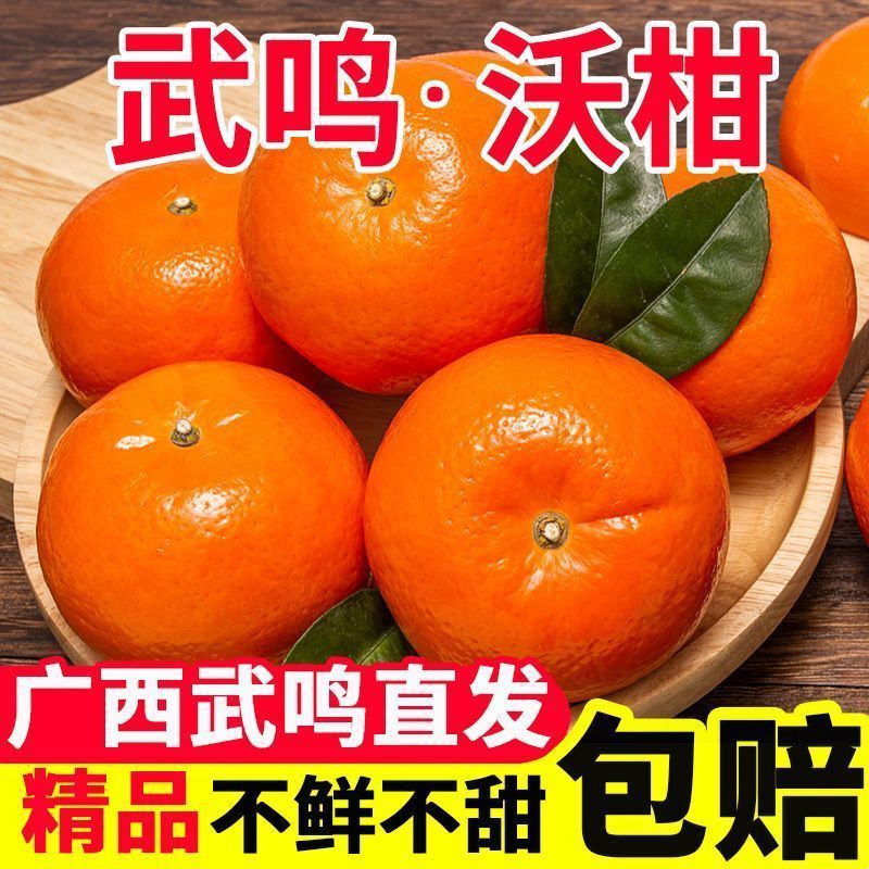 【一件代发】广西武鸣沃柑/电商代发/社区团购/各大商超