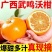 【一件代发】广西武鸣沃柑/电商代发/社区团购/各大商超