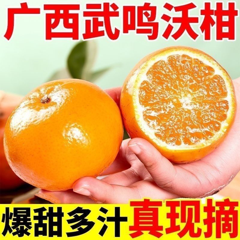 【一件代发】广西武鸣沃柑/电商代发/社区团购/各大商超