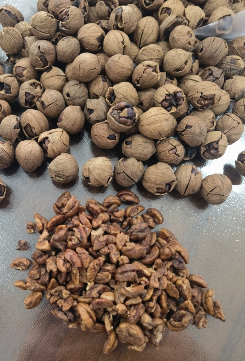 纯野生山核桃奶香味原味椒盐味各种口味