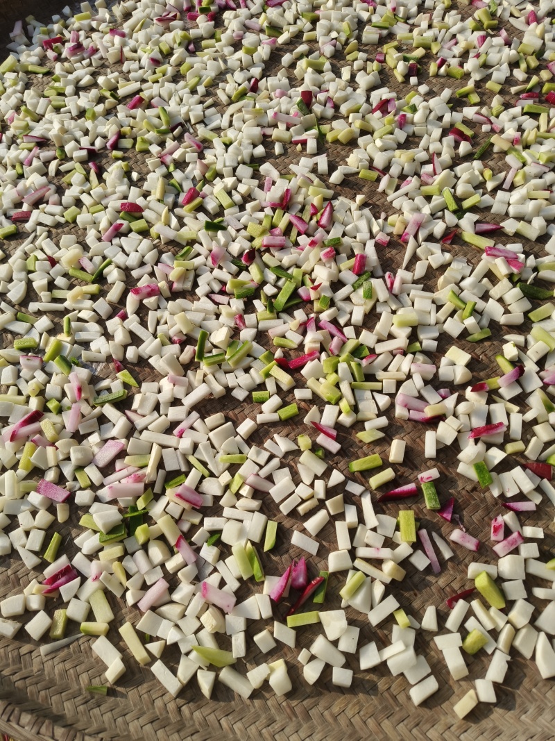 手工制作腌制萝卜干