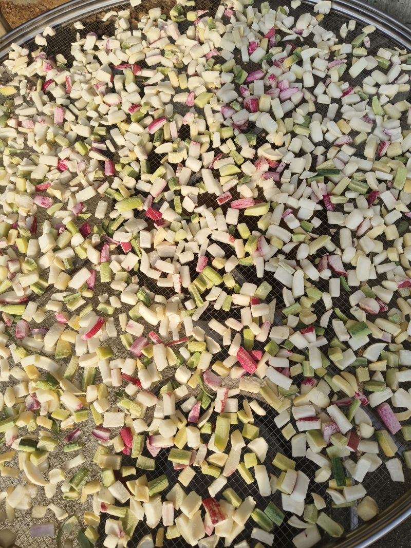 手工制作腌制萝卜干