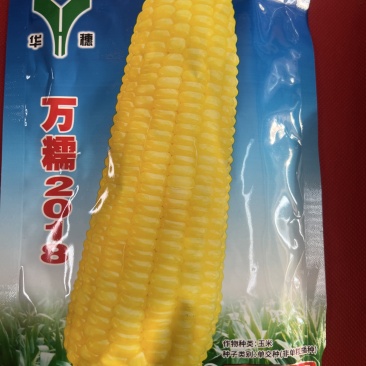 【正宗】华穗万糯2018黄糯玉米种子大穗口感好