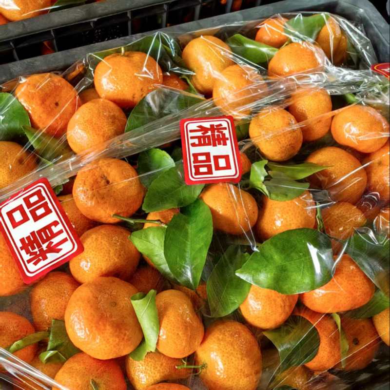广西正宗砂糖橘大量上市！皮薄汁多价格优惠对接全国