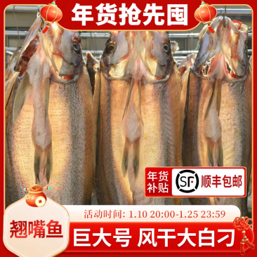 《翘嘴鲌鱼干》大白刁翘嘴/一手货源/江苏发货/欢迎来电