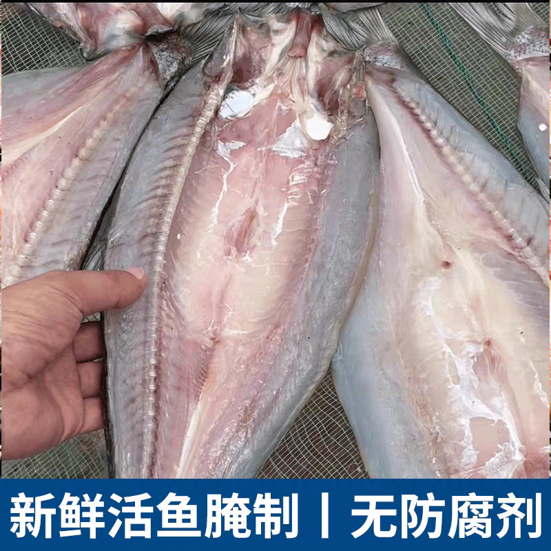 《翘嘴鲌鱼干》大白刁翘嘴/一手货源/江苏发货/欢迎来电