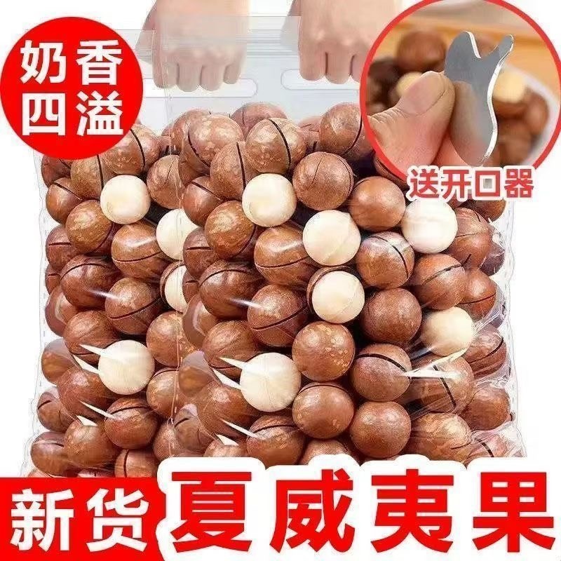 夏威夷果新货大颗粒一件代发