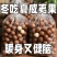 夏威夷果新货大颗粒一件代发