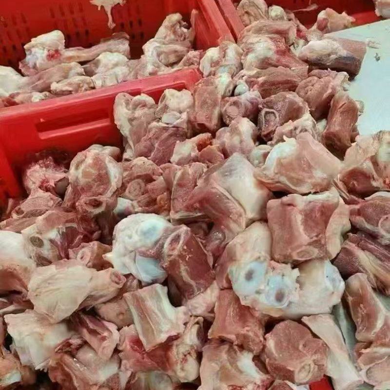 后肘骨块