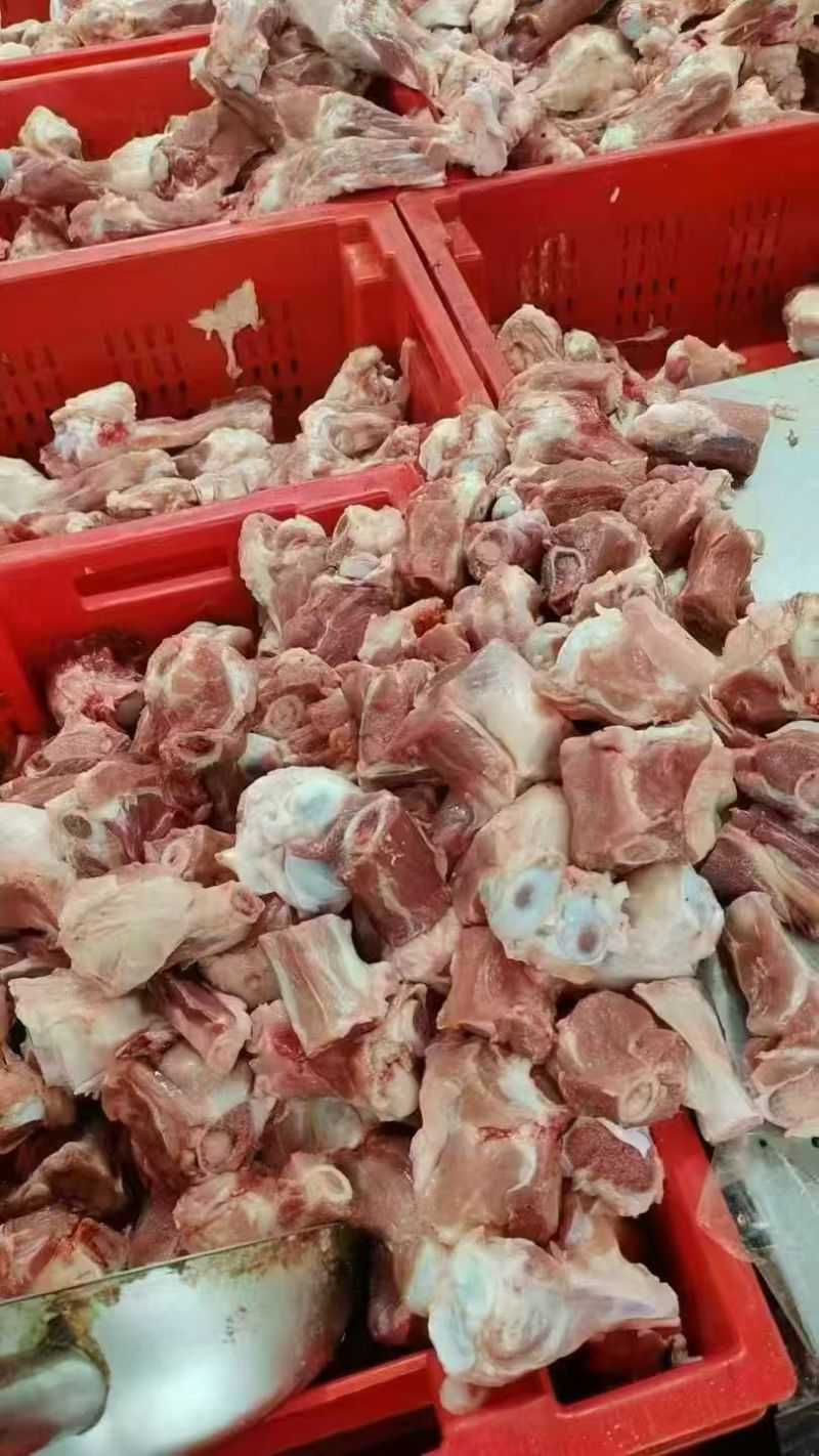 后肘骨块