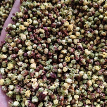 腊梅花新货干净无杂梅花批发零售量大从优