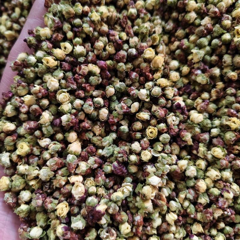腊梅花新货干净无杂梅花批发零售量大从优