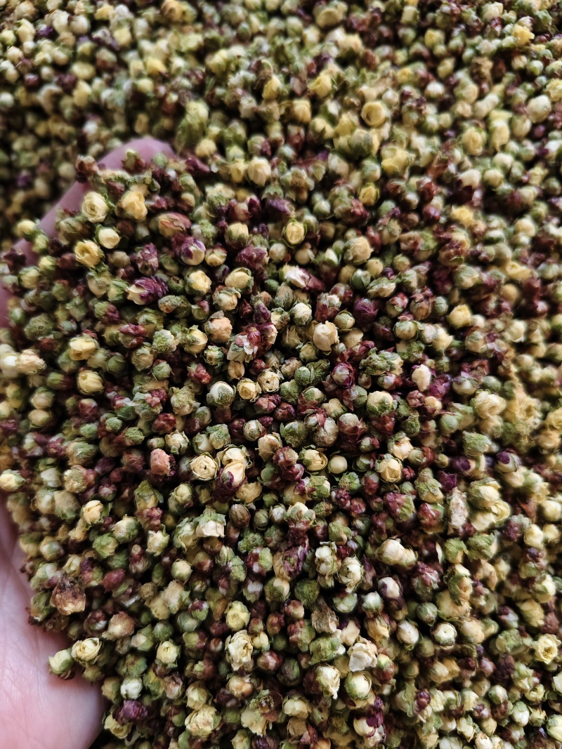 腊梅花新货干净无杂梅花批发零售量大从优