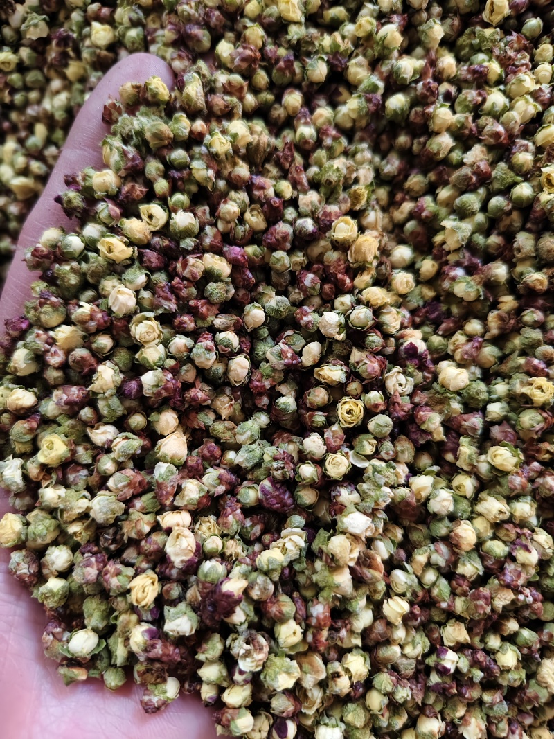 腊梅花新货干净无杂梅花批发零售量大从优