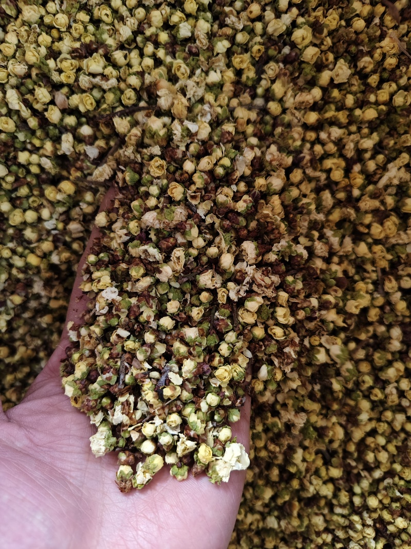 腊梅花新货干净无杂梅花批发零售量大从优