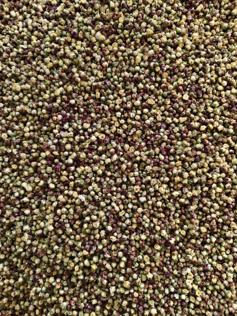 腊梅花新货干净无杂梅花批发零售量大从优