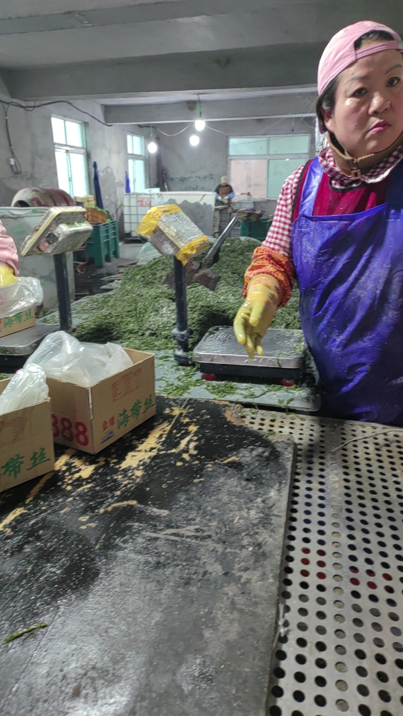 金增盐渍海带短丝全渠道销售合作箱装袋装社区团购地摊热销