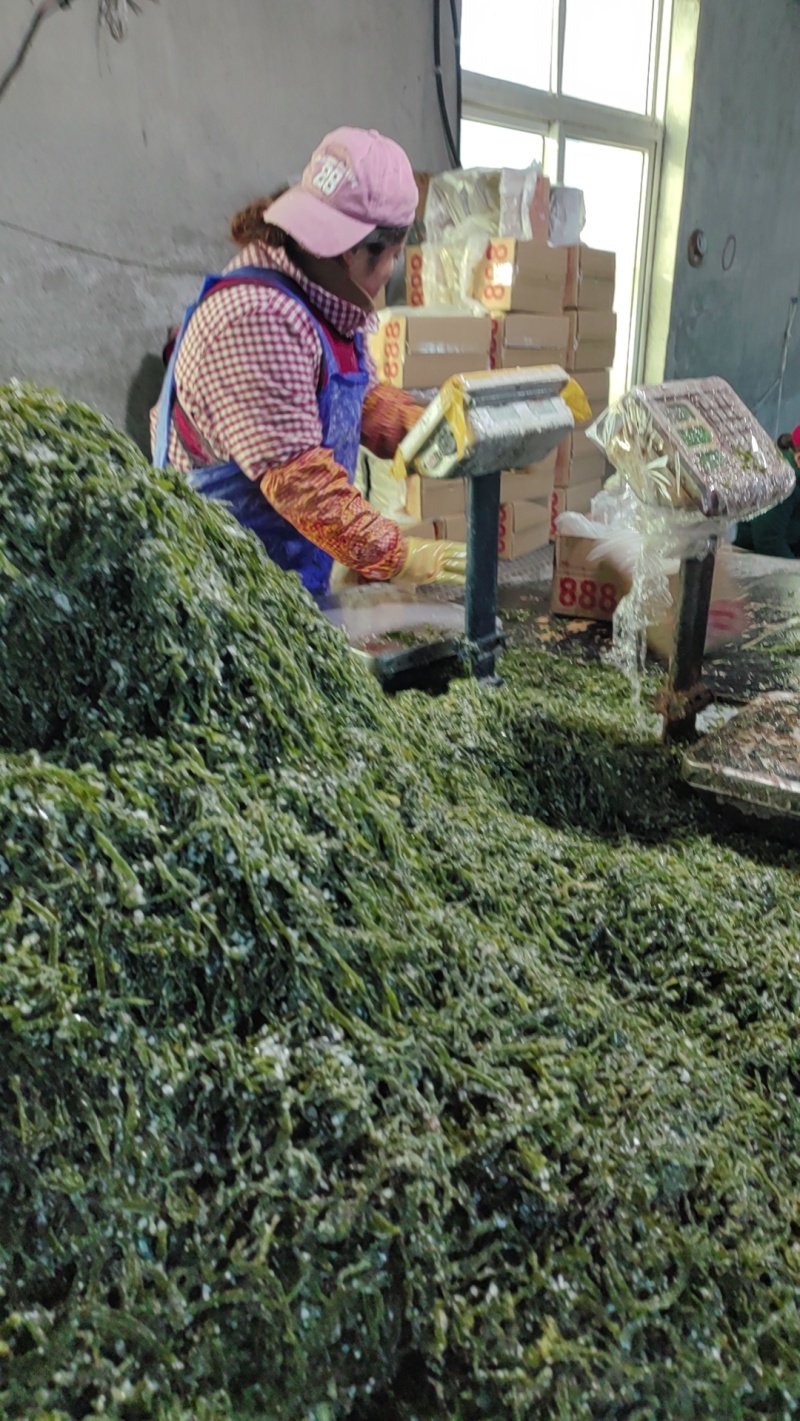 金增盐渍海带短丝全渠道销售合作箱装袋装社区团购地摊热销