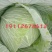 小心，大心儿菜，无红头，无冒苔，无根腐