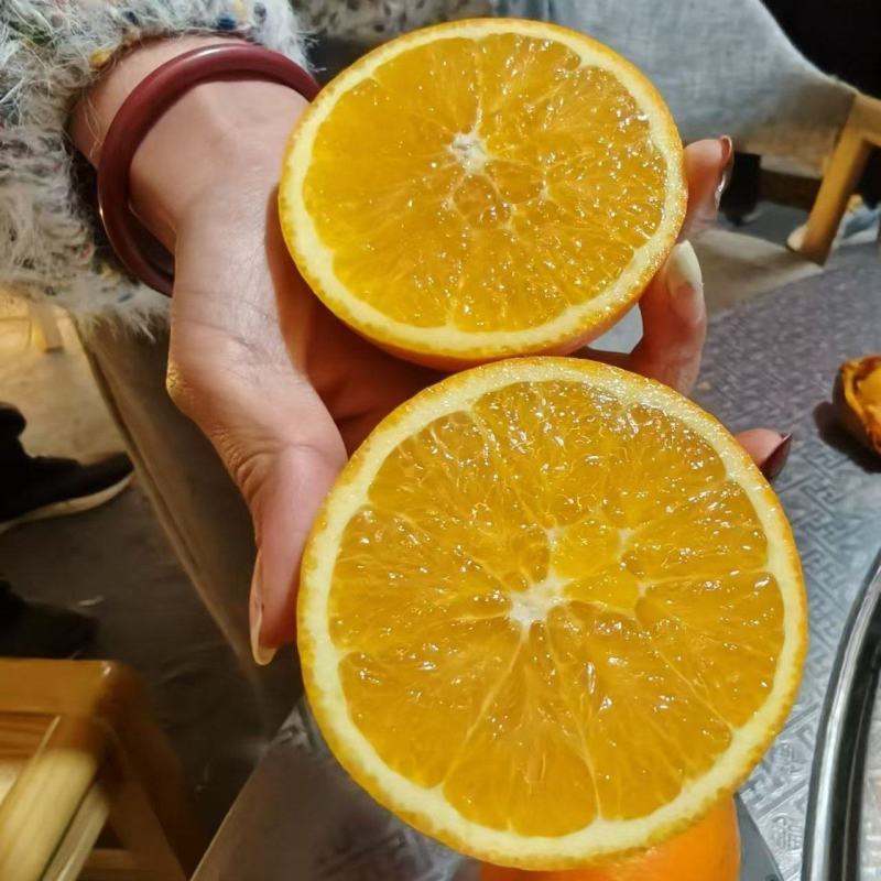 湖北精品纽荷尔脐橙大量上市品质保证量大从优一手货源