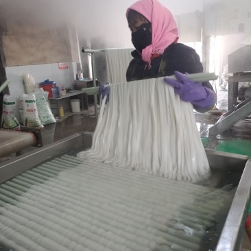 九叶粉麻辣烫专用粉条品质保证服务周到产地直发
