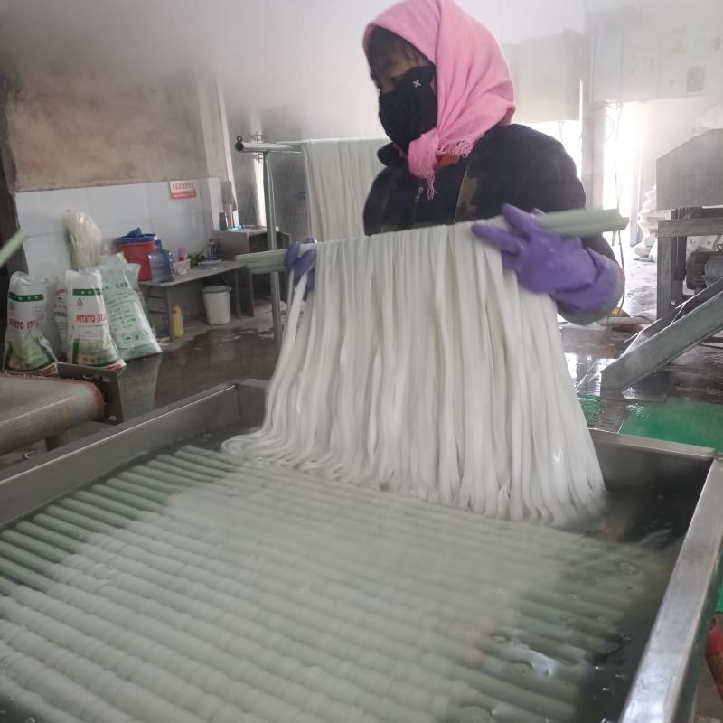 九叶粉麻辣烫专用粉条品质保证服务周到产地直发