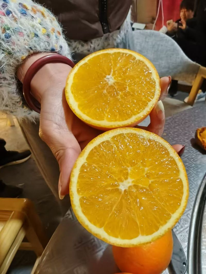 精品纽荷尔脐橙大量上市品质保证量大从优一手货源