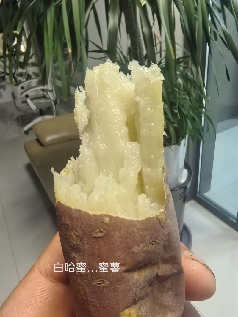 出售白哈蜜：支持各种规格和包装！加工厂，电商，市场批发