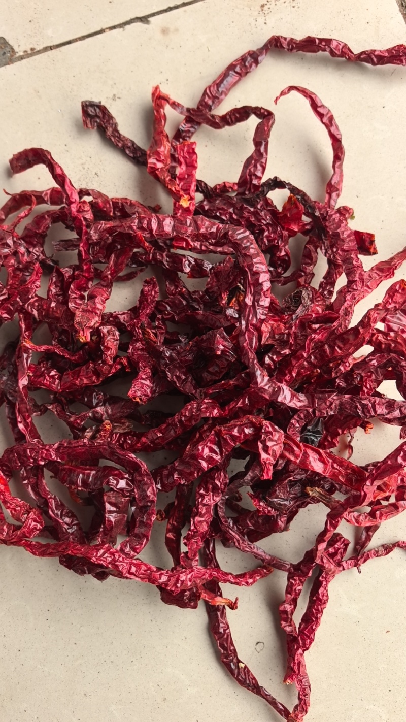 贵州二荆条和皱椒
