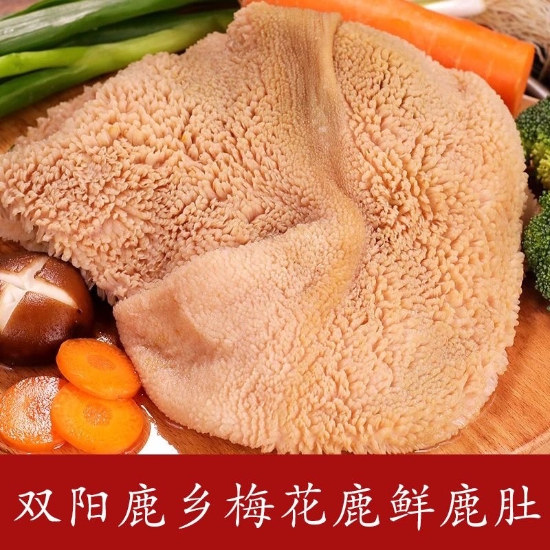 鹿肚梅花鹿鹿肚活鹿现杀新鲜鹿肚毛肚爆炒涮烤