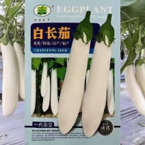 白长茄种子一代杂交抗病高产肉厚长茄四季播耐寒耐热长茄种籽