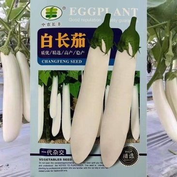 白长茄种子一代杂交抗病高产肉厚长茄四季播耐寒耐热长茄种籽
