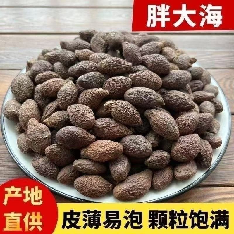 胖大海中药材正宗胖大海无硫无熏染高品质
