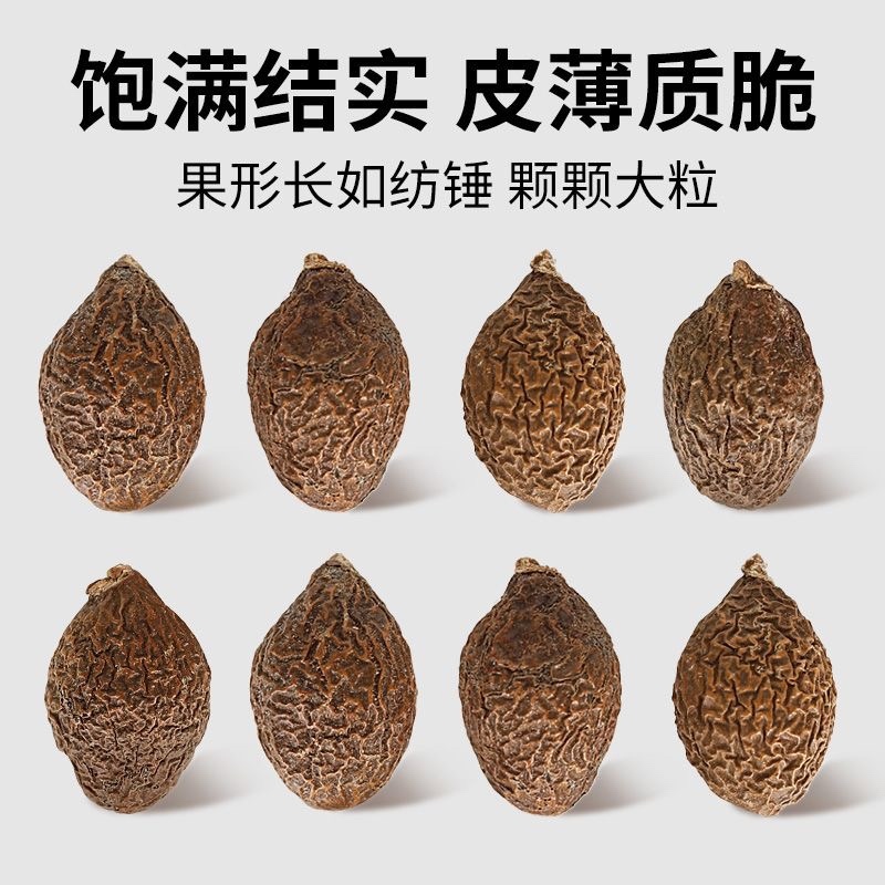 胖大海中药材正宗胖大海无硫无熏染高品质