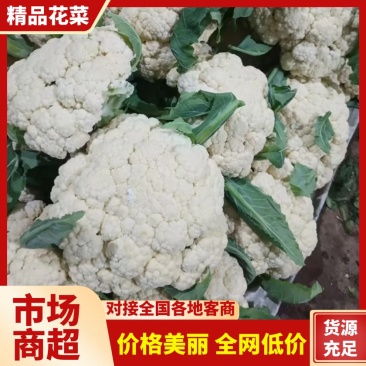 青梗菜花/花菜/产区直发/大量有货/欢迎选购