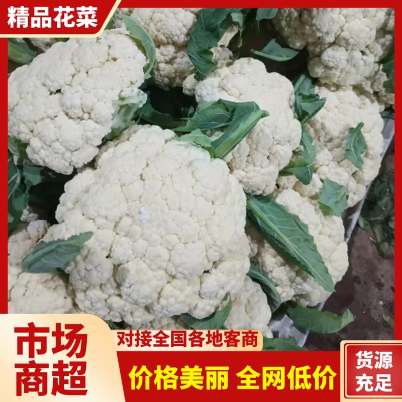 青梗菜花/花菜/产区直发/大量有货/欢迎选购
