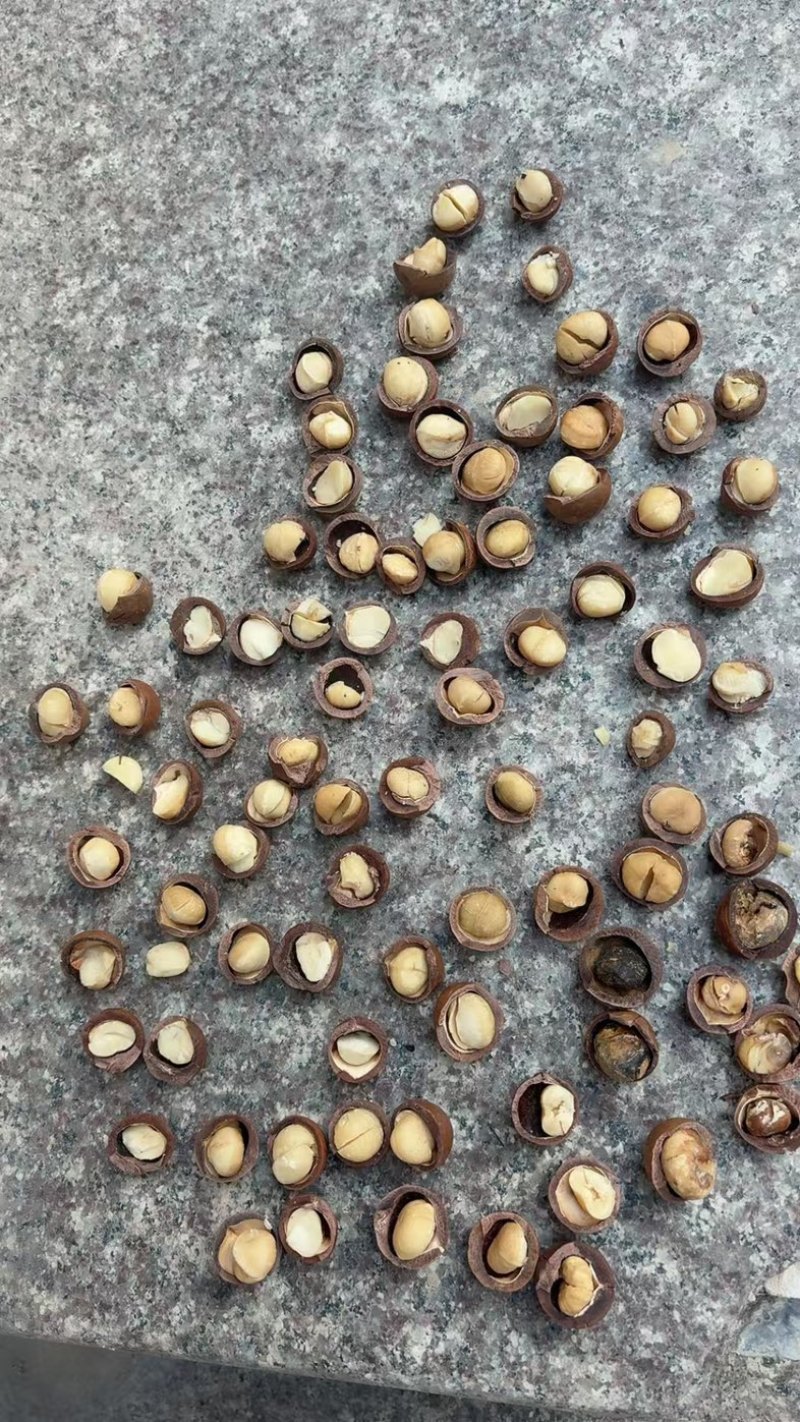 夏威夷果性价比源头工厂直销大量现货有需要联系