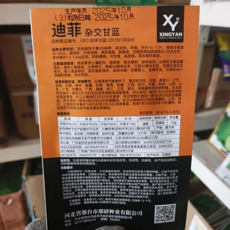 邢研优秀杂交甘蓝种子早熟结球包菜卷心菜种籽抗病耐贮运高产