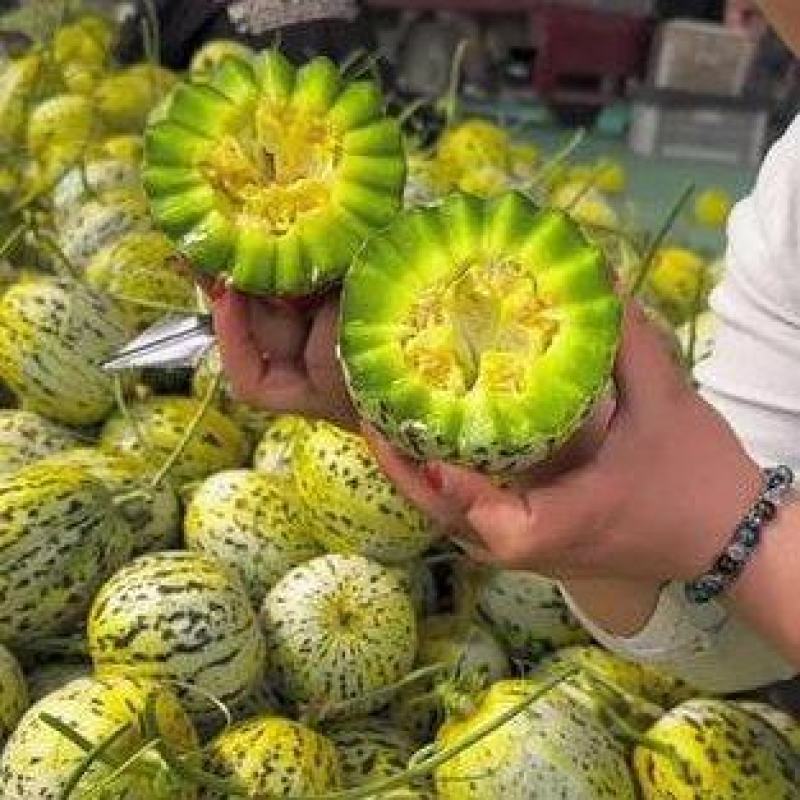 花美人甜瓜