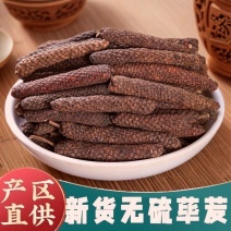 荜茇荜拔香料调料高品质荜拔粉正宗无杂质