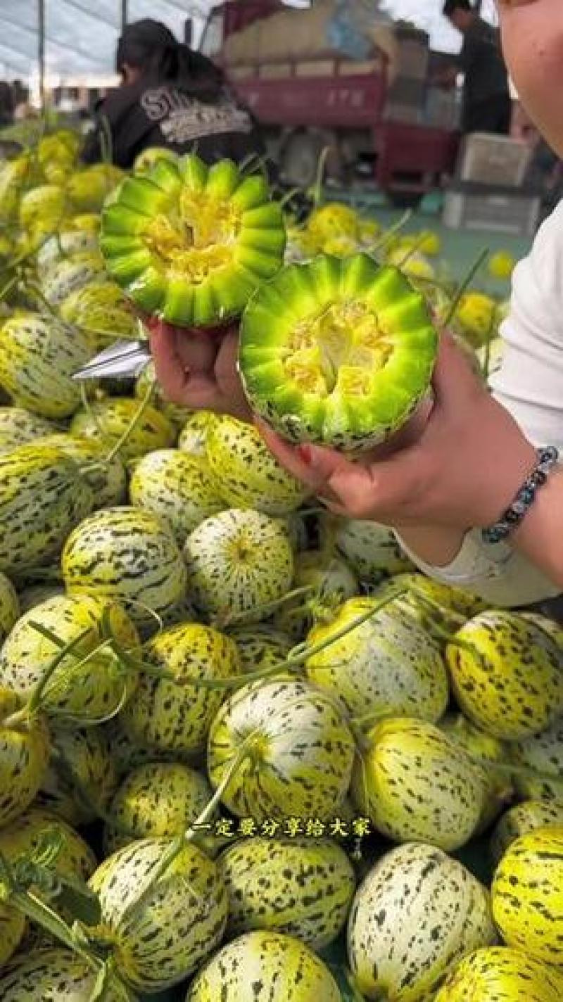 花美人甜瓜