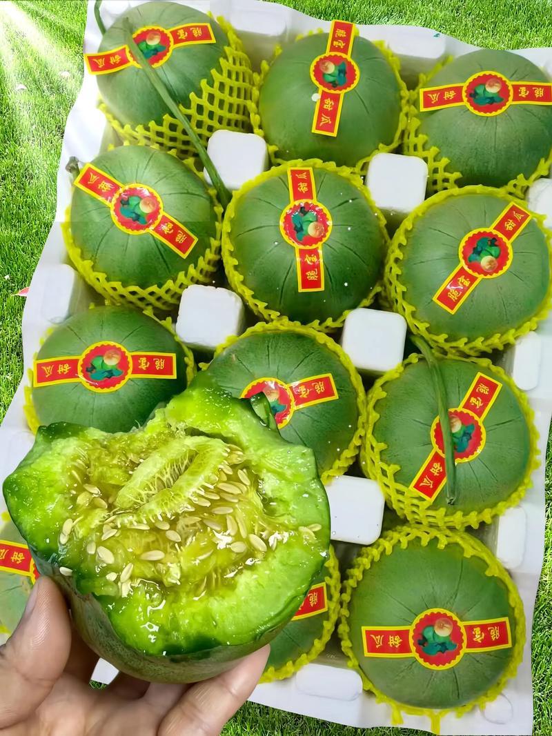 山东聊城产地直发，绿宝石甜瓜，软糯香甜！