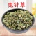 鬼针草三叶鬼针正品鬼针草无硫熏***手工挑选